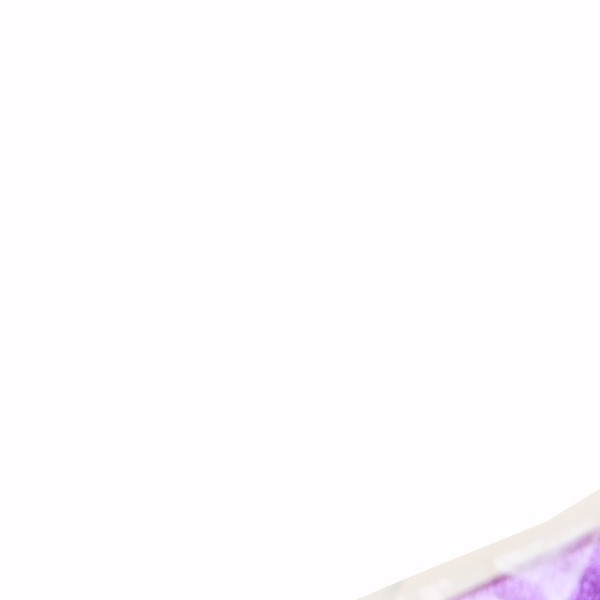 PAPEL MET. GOFRADO MOR.OBISPO E.10 C.100